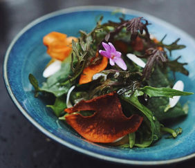 Le Galopin Parisien !