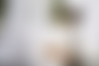 Honorable reconnaissance