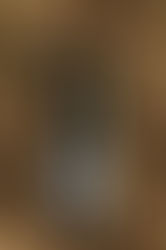 Champagne Dubreuil Frères : une histoire de famille