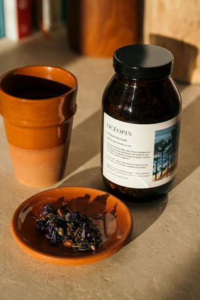 Une infusion de forêt