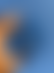 Un baume, 1 000 possibilités !