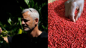 Parfums du bout du monde