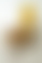 L’alternative qui fait fondre !