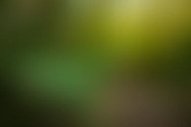 Séjour détox au Château du Launay