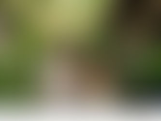 胡志明的懲罰:我以為是艷遇,結果被兩個女孩拖進無招牌小樓,醒來護照當人質