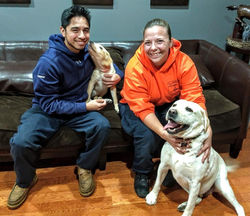 clr adoption cleo 2018