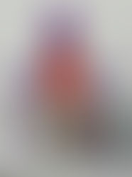 梅雨の季節になりました