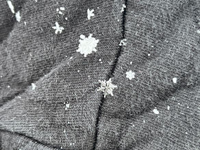 Perfect Snowflake caught on a sweater