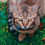 Thumbnail: Bengals
