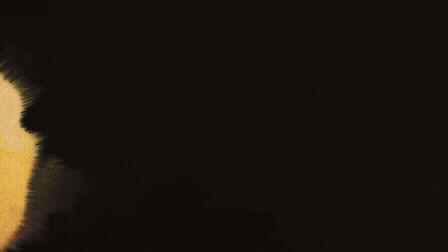 bbw.gif
