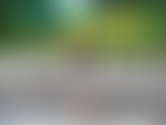 The Entrepreneur Log #1 - August 2021 Review