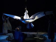 Metamorphoses_Alcyone.jpg