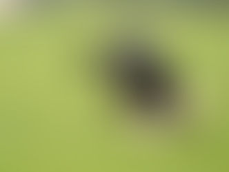 2018 Class Schedule is available....