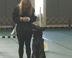 More Obedience Awards for Puppy-Wuppy Clients......