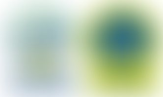 New Class...Trick Dog Class