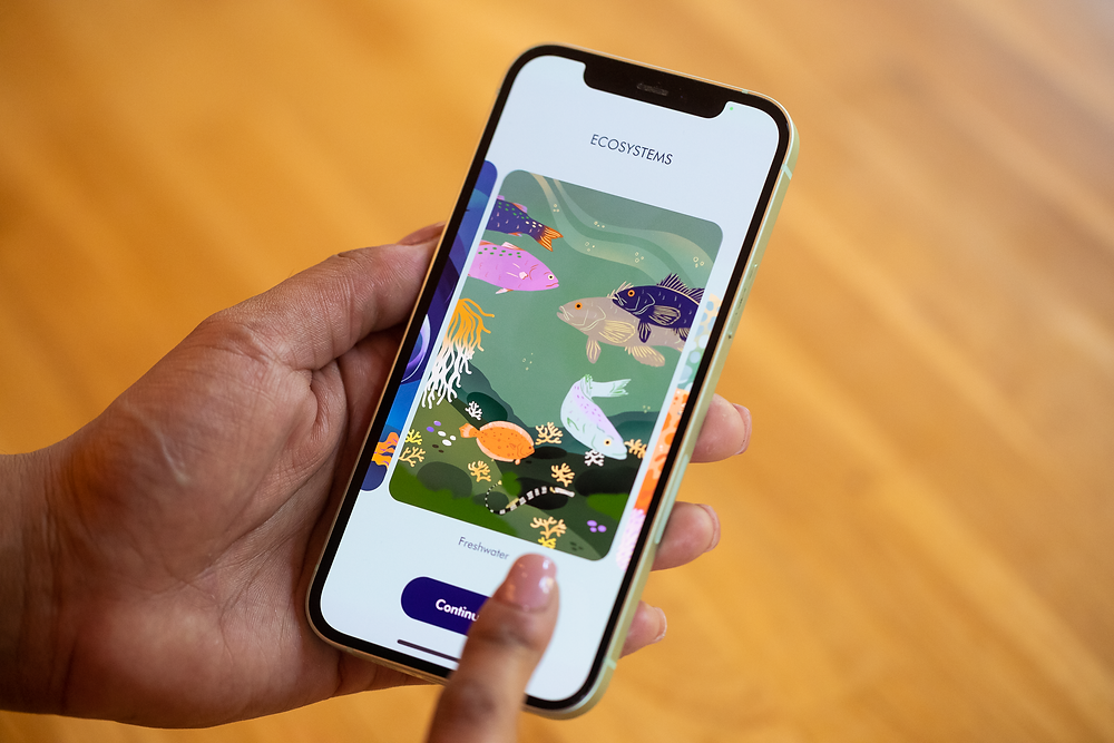 Visual Instructor App 5 teaching apps every educator needs now (Verizon)