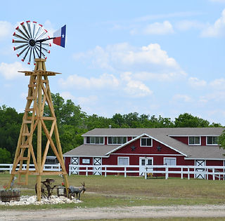 Equine Assisted Counseling therapeutic riding