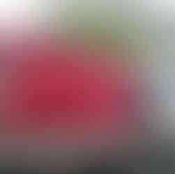 Cummins Diesel Generator Set