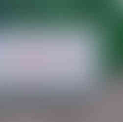 Isuzu Diesel Generator