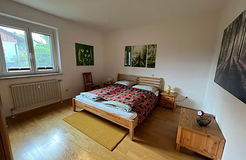 IMG_0947.jpeg