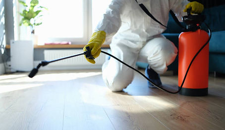 Essex pest solutions Brentwood