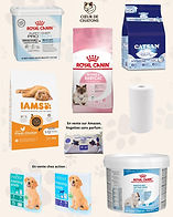 Besoins matériels de l'association