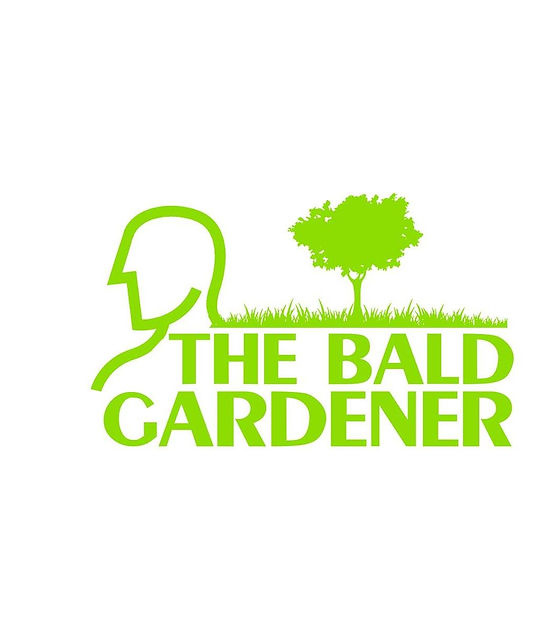 the bald gardener.jpg