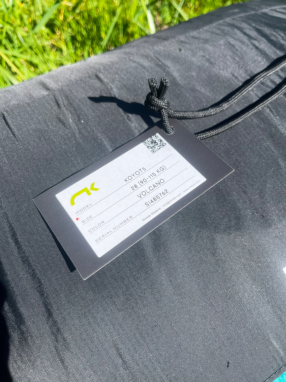 Miniature : Niviuk Koyot 5 28m2