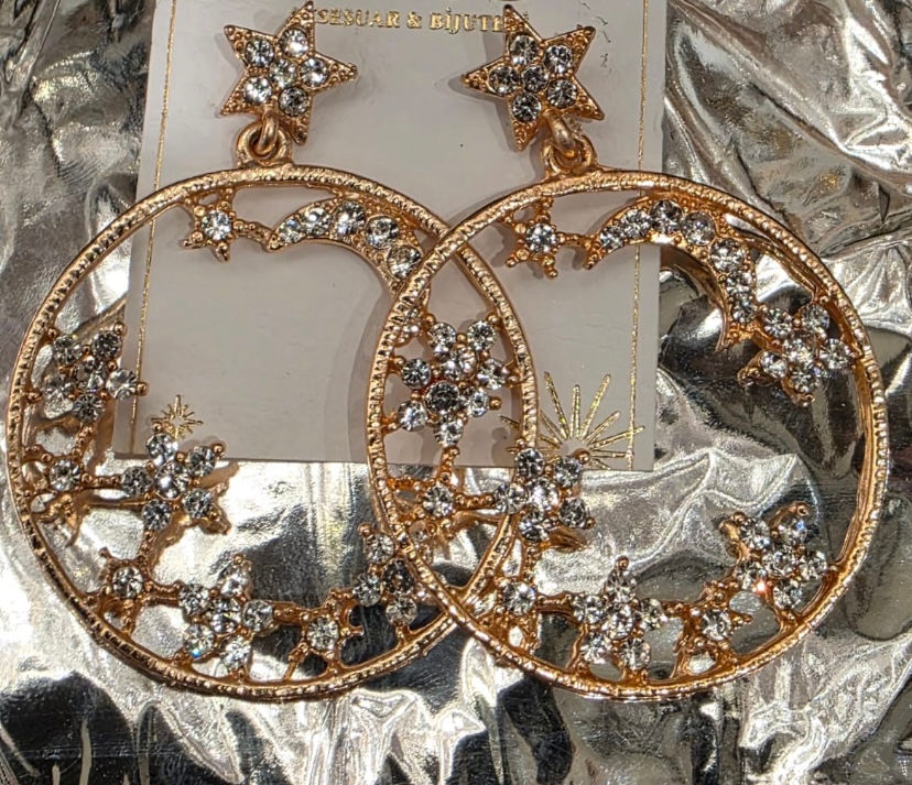 Stainless Steel Earring