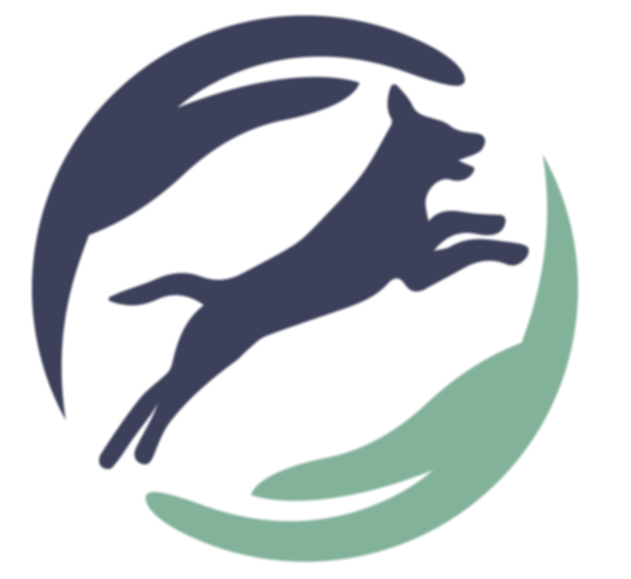 Favicon Topdog