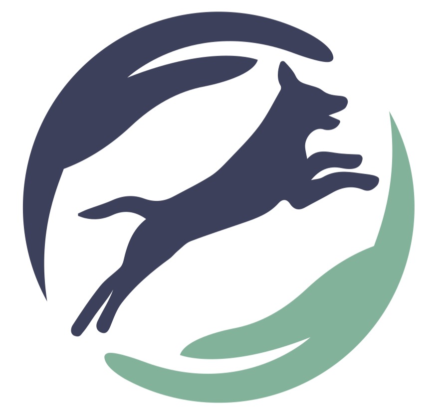 Autorenbild: TOPDOG Hundephysio
