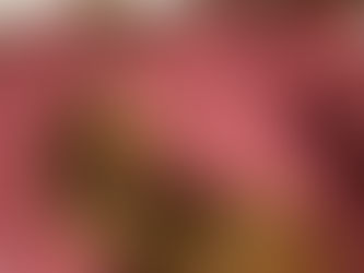 Dogs leaving bacteria on your pillow