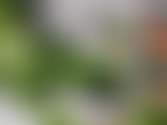 Foods To Eat During Menopause