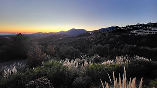 20241225_075023.jpg