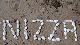 IMG_8937.JPG