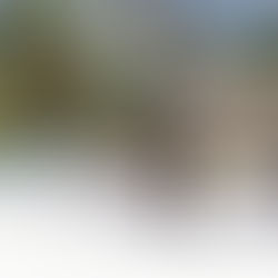 Viking, Avalon Europe and USA rivers plus Paul Gauguin Tahiti promotions