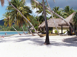 Viking, Avalon Europe and USA rivers plus Paul Gauguin Tahiti promotions