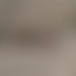 Residentes ponen en marcha el plan de recuperación de áreas verdes