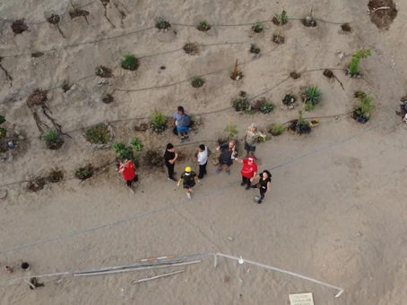 Residentes ponen en marcha el plan de recuperación de áreas verdes