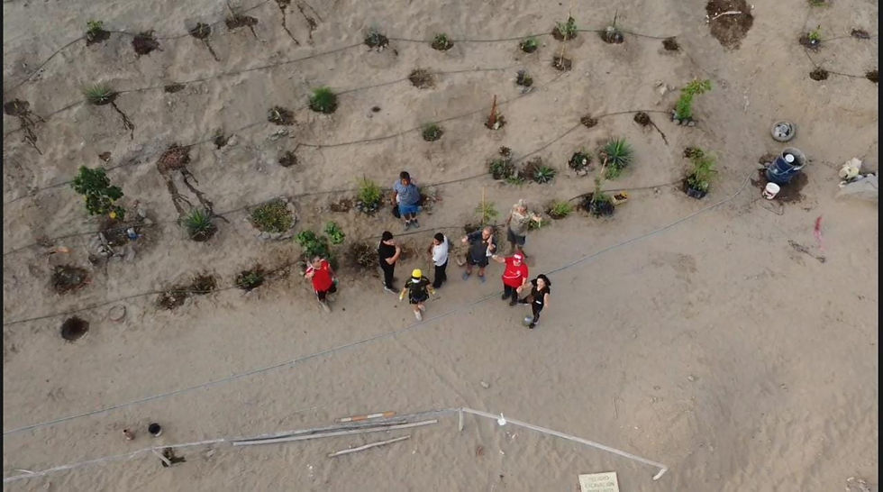 Residentes ponen en marcha el plan de recuperación de áreas verdes