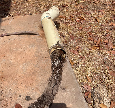 Sewer-Pipe-Blocked-Tree-Roots.JPEG