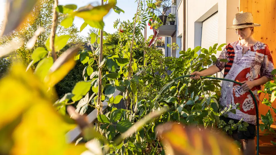 Bild Balkon Elisa .webp