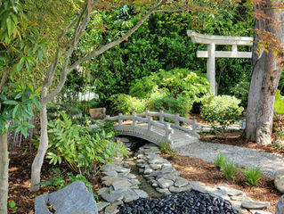 Your Home as a Sanctuary in a Troubled World
