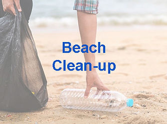 Beach Clean-up