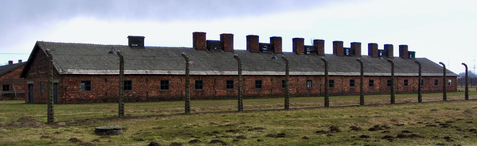DSC_4779.jpeg