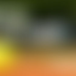 Waypoint Softball Team