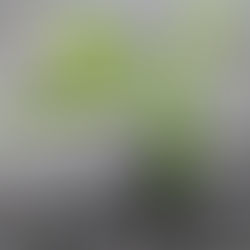 Thank God for Persistence and Passion