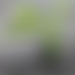 Thank God for Persistence and Passion