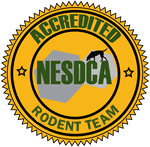 NESDCA logo