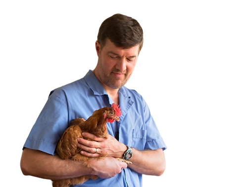 BrettWithHen No Background2.png
